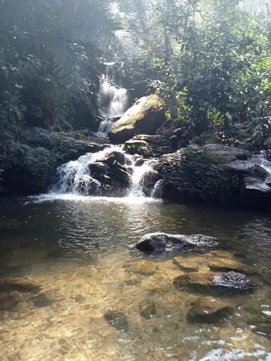 April Cottage Munnar Adimali Idukki Homestay