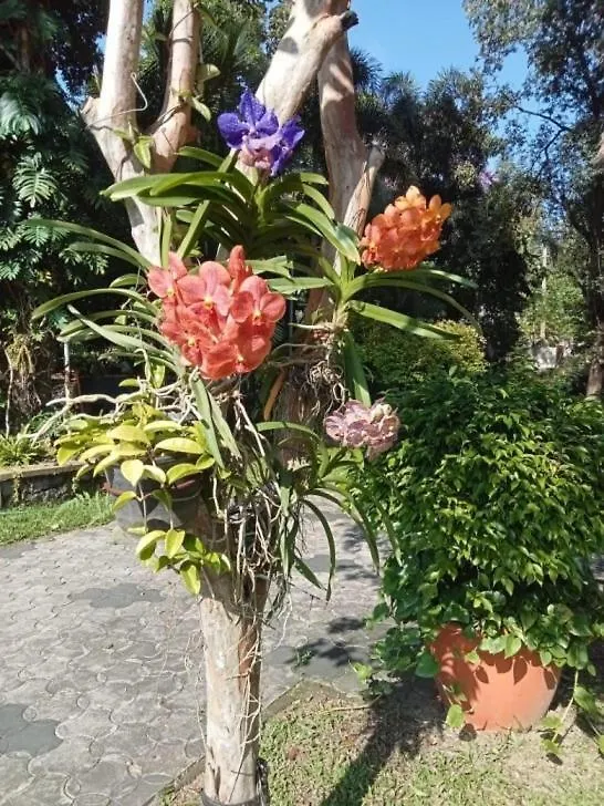 April Cottage Munnar Adimali Идукки Индия